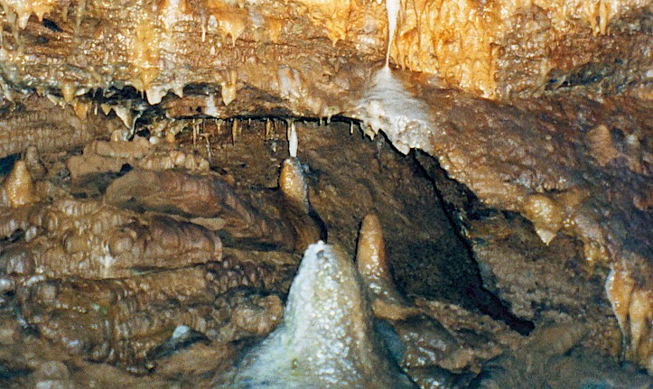 Drachenhöhle Syrau, Tropfsteine