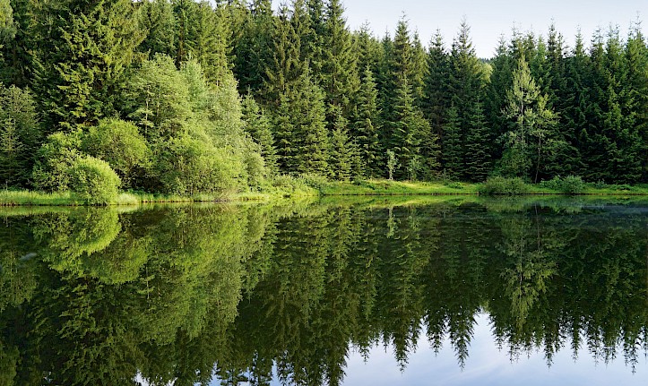 Wandern, Teich im Hüttenbachtal