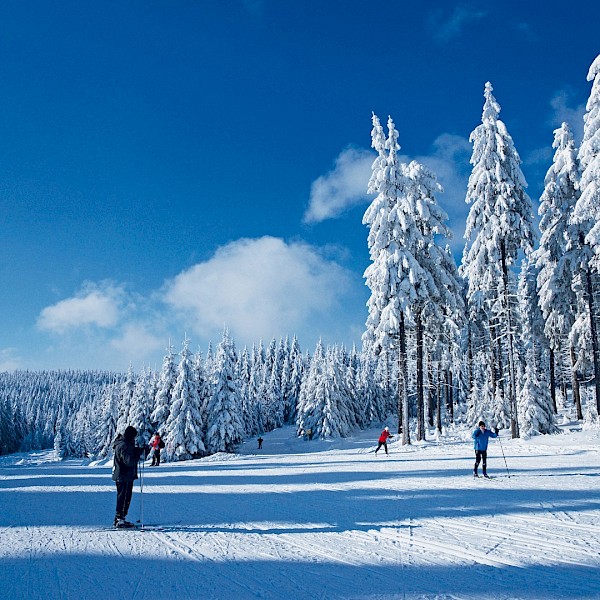 Winter-Sparangebot 5 Nächte
